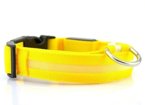 RoveRest™ NightSafe LED Glow Collar - USB Rechargeable