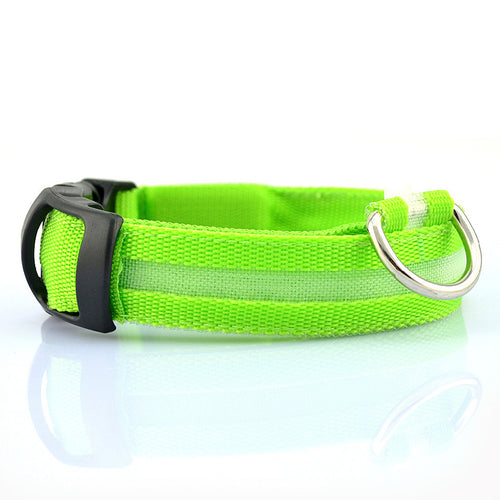 RoveRest™ NightSafe LED Glow Collar - USB Rechargeable