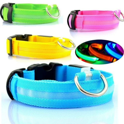 RoveRest™ NightSafe LED Glow Collar - USB Rechargeable