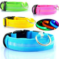 RoveRest™ NightSafe LED Glow Collar - USB Rechargeable