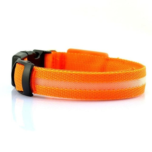 RoveRest™ NightSafe LED Glow Collar - USB Rechargeable